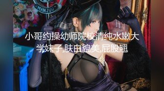 SWAG 劲辣《网袜巨乳女孩》坐上男人的车被带回家狂干Have se