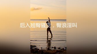 后入翘臀骚货，臀浪淫叫