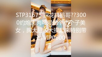 眼镜哥老婆回娘家生小孩周末约单位财务科的性感少妇回家玩无套内射她