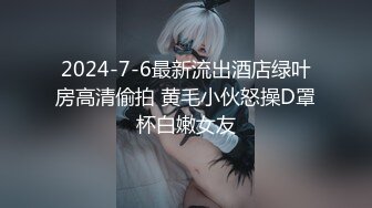 高颜值漂亮少妇偷情