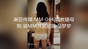 极品女秘书