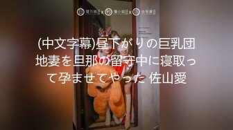 裸舞女神 酥软软（含啪啪）合集【29V】 (4)