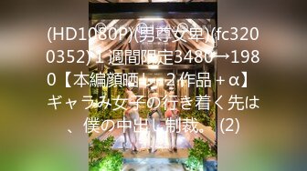 G奶欲姐 欲姐女教师_纯欲女教师 合集【86V】 (35)