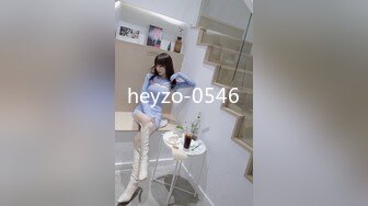 heyzo-0546