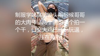 全套情趣空姐制服外围美女，修长美腿渔网袜，吸吮舔屌插嘴口活一流，扶着细腰后入肥穴，站立侧入镜头前一进一出