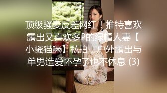 顶级骚妻反差网红！推特喜欢露出又喜欢多P的绿帽人妻【小骚猫咪】私拍，户外露出与单男造爱怀孕了也不休息 (3)