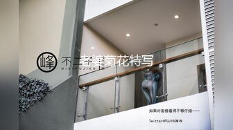 Tiny+乐乐 监狱学园の性徒会长副会长双重巨乳出击隐藏版收录双女王性感皮装