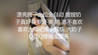 做动车搭讪的少妇