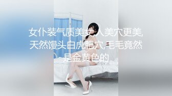 咬一口兔娘ovo 六月T3特典『穹妹浴衣 游园惊梦』