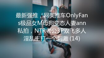 最新强推，网美推车OnlyFans极品女M母狗变态人妻ann私拍，NTR老公3P双飞多人淫乱主打一个刺激 (14)