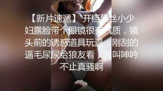 荷兰美女做爱姿势真多