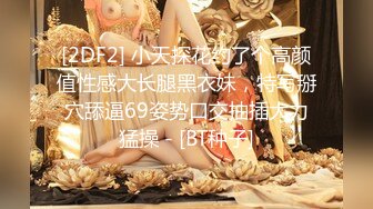 牛B大神商场女厕暗藏摄像头偷窥53位美女少妇嘘嘘 (5)