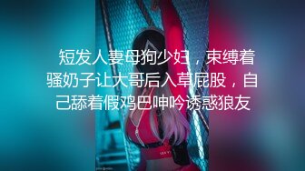 与身着赤兔服渔网袜之02行房事