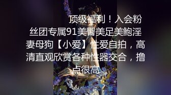 白丝的诱惑-酒吧-体育生-白丝-Ktv-内射-户外-丝袜