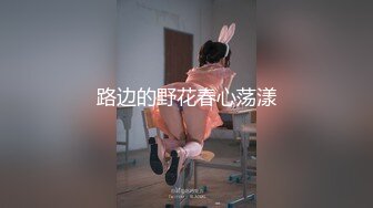 放浪传媒FX-0003傲慢女上司