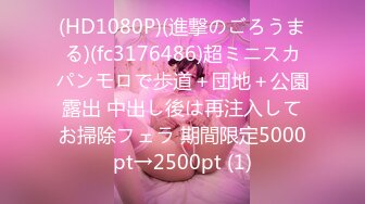 【新片速遞】2023.3.1，【黑桃探探】，新晋探花，酒店内约23岁小姐姐，身材匀称害羞温柔，床头爆操一览无余